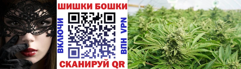 Конопля индика  Купить  Починок 